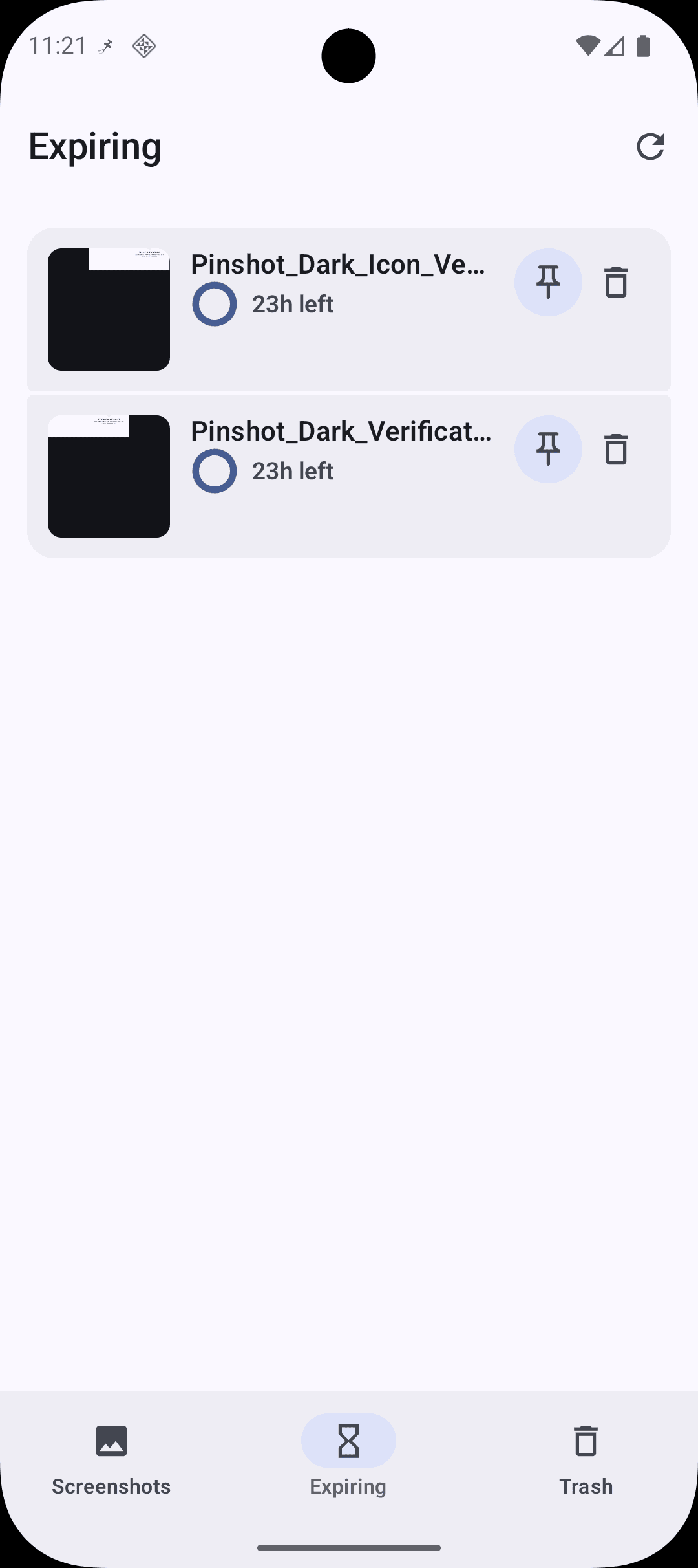 Pinshot expiring screen in light mode